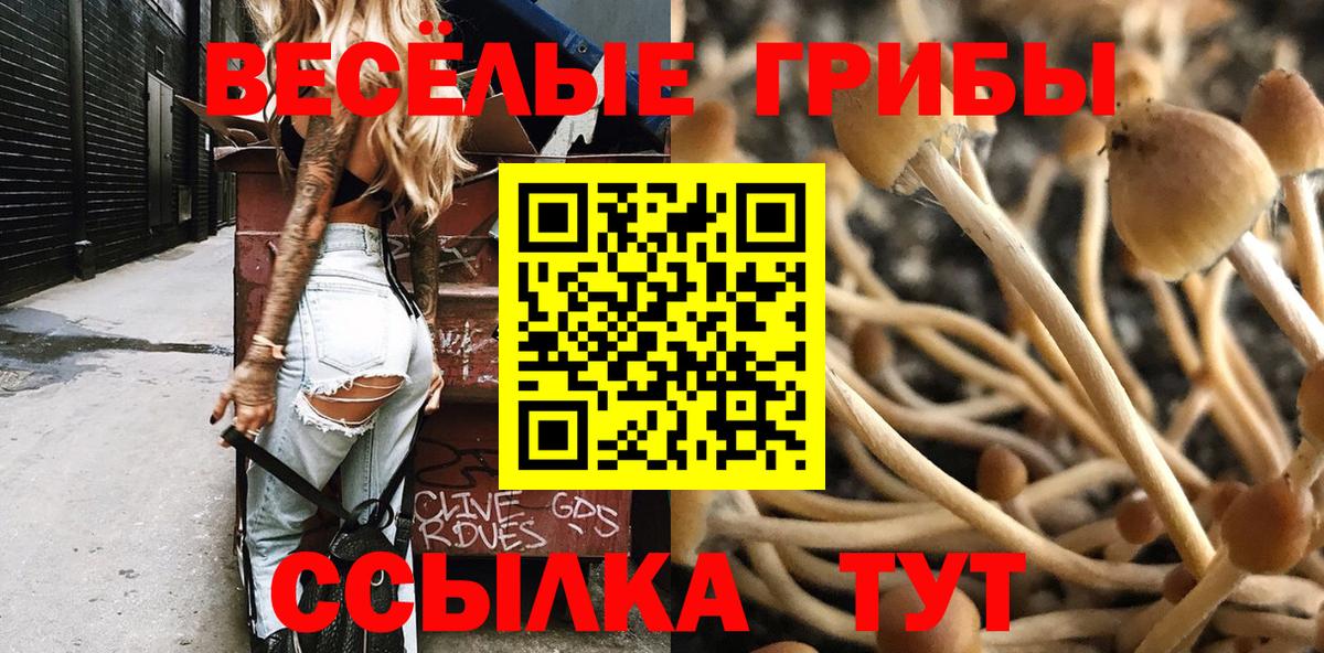 Псилоцибиновые грибы Magic Shrooms Чебоксары