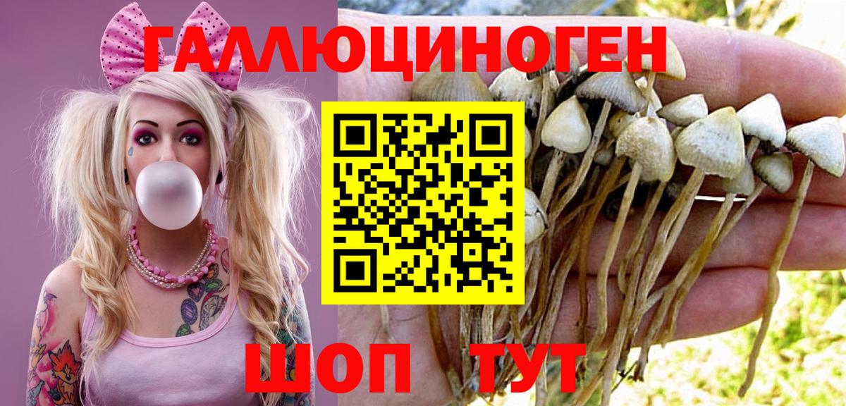 Псилоцибиновые грибы Cubensis  Вход с VPN  Чебоксары  Псилоцибиновые грибы GOLDEN TEACHER 